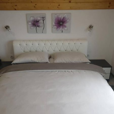 Guest House Jagoda Rakovica Bagian luar foto